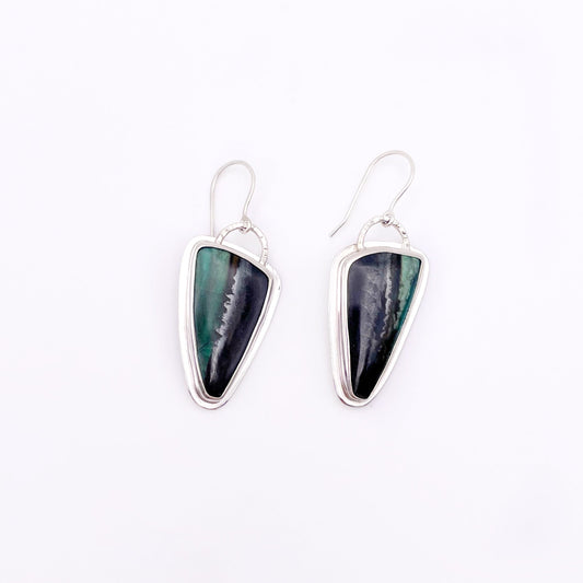 Blue Opalized Petrified Wood Earring No. 03