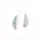 Blue Opalized Petrified Wood Earring No. 02