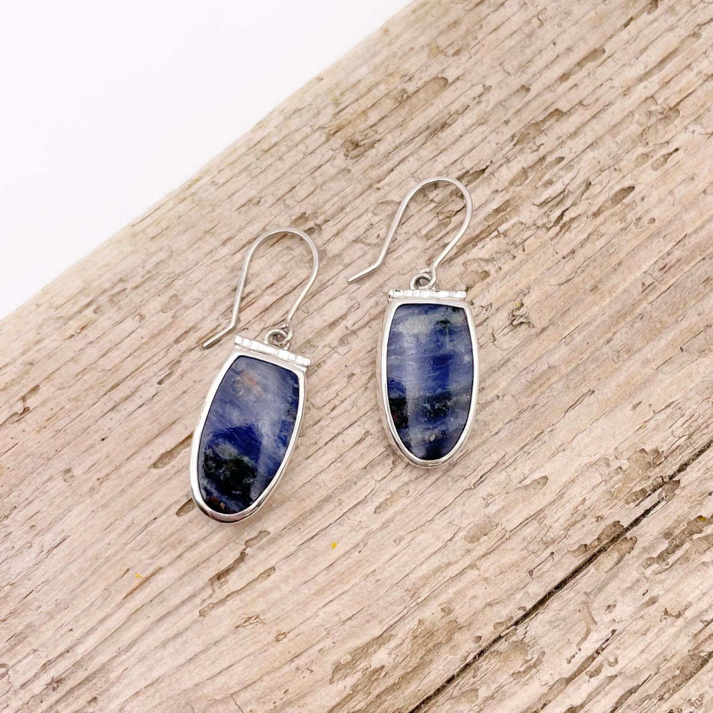 Sodalite Horizon Dangle Earring