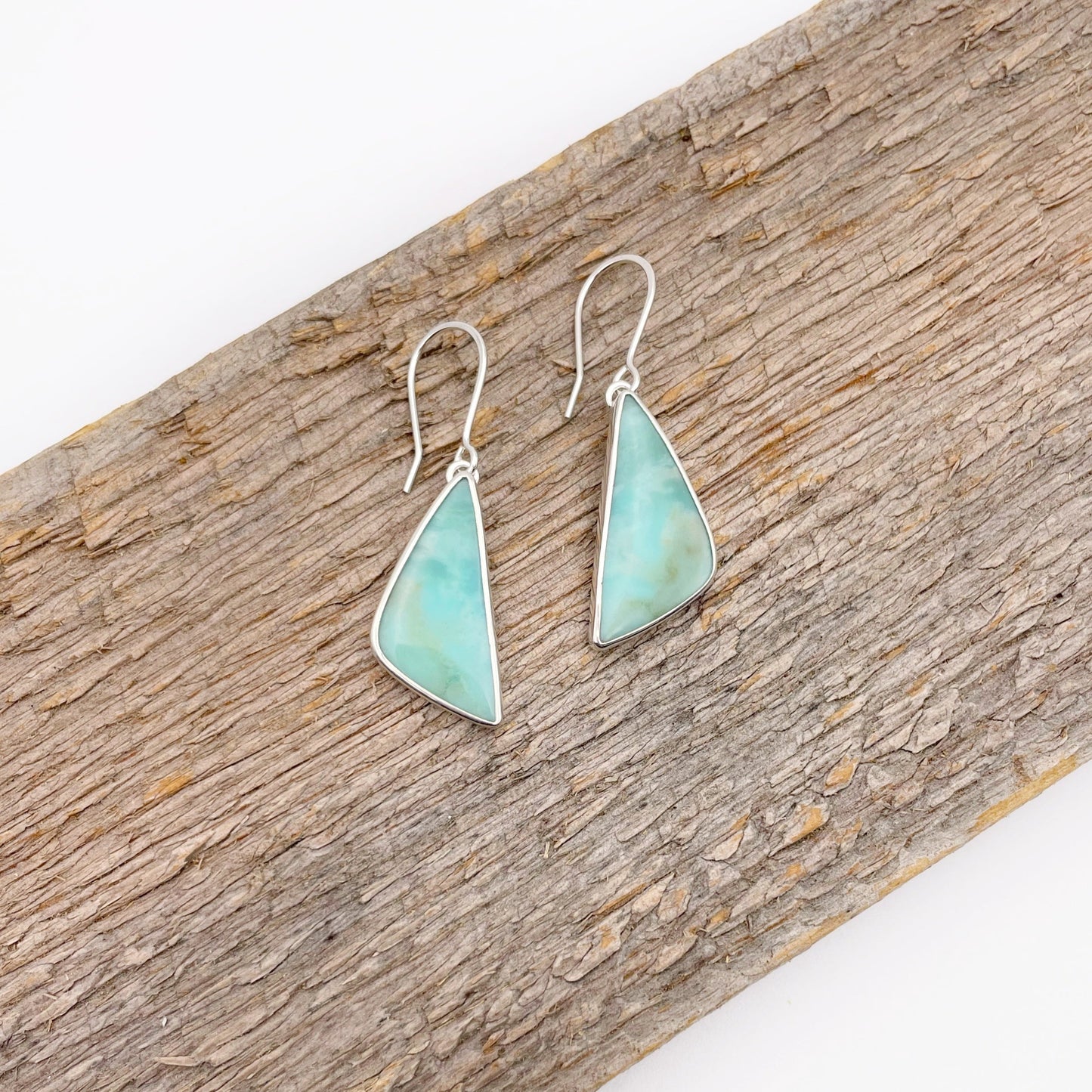 Blue Opalized Petrified Wood Earring No. 05