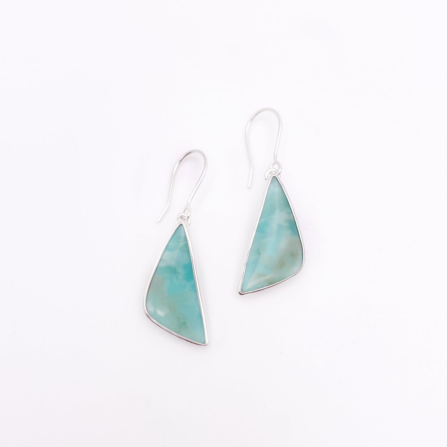 Blue Opalized Petrified Wood Earring No. 05