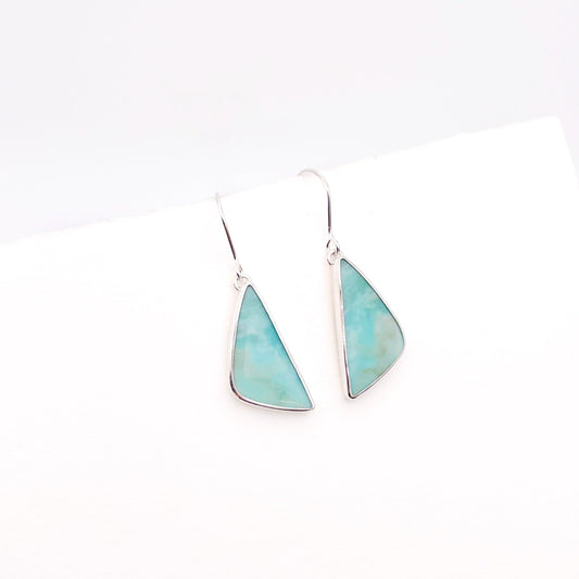 Blue Opalized Petrified Wood Earring No. 05